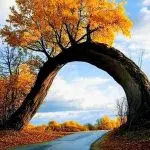 دانلود آهنگ دیر کردی حسرتت هر لحظه بر بادم داد “نسخه هوش مصنوعی” از هایده